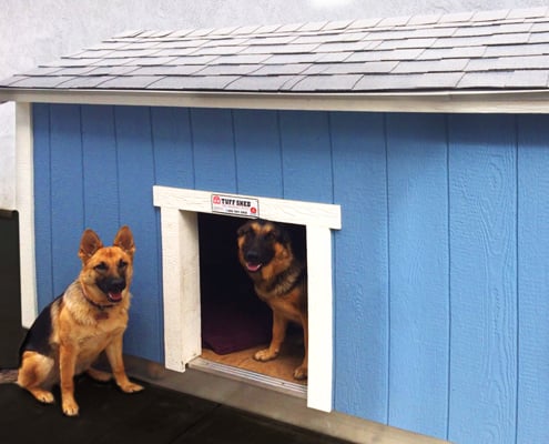 tuff shed dog house