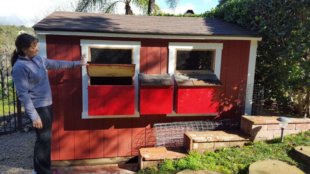 when one tuff shed building isn't enough - tuff shed