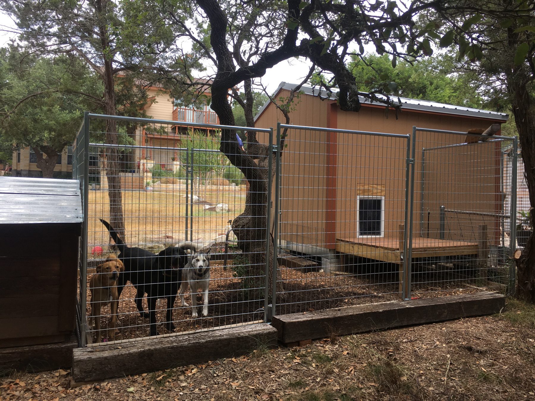 tuff shed dog house