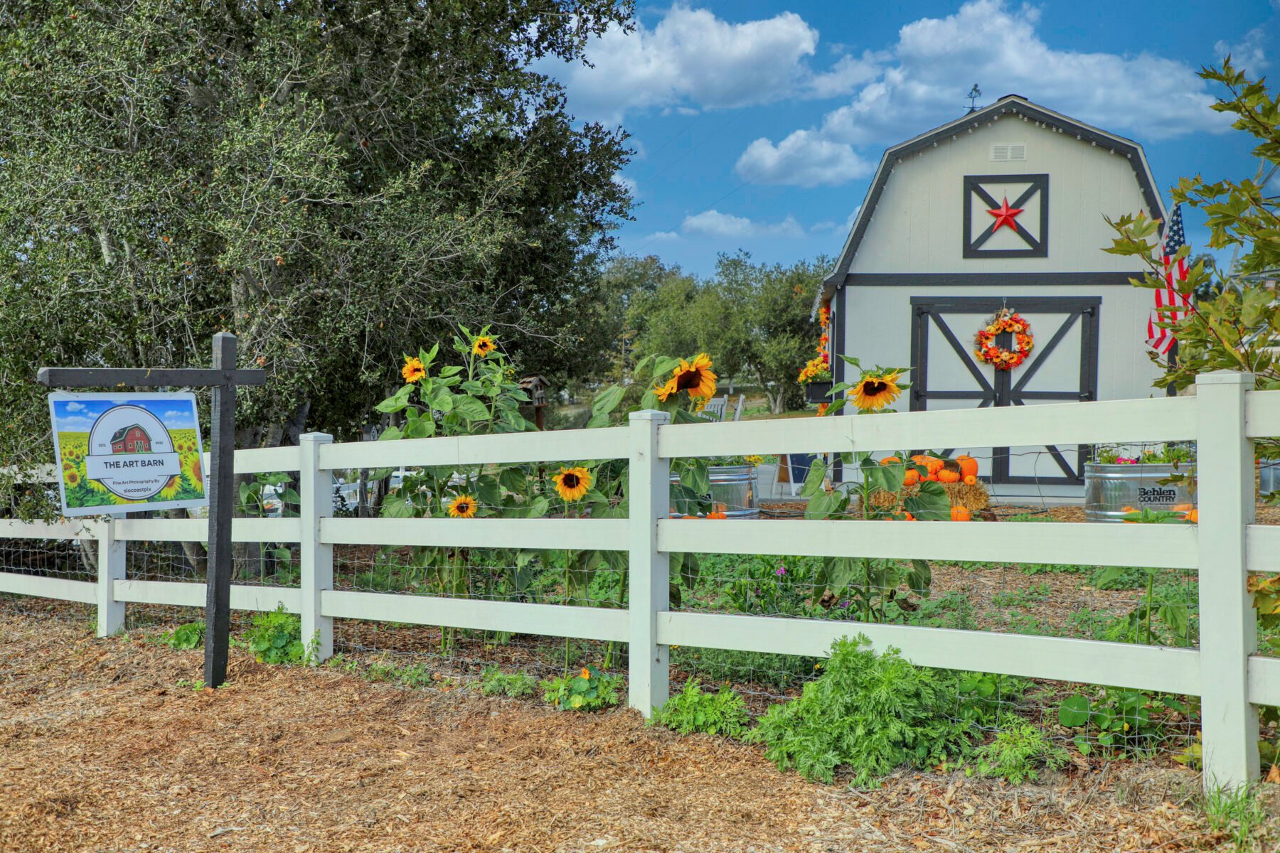 Tuff Shed Barn, Barn, Shed, Garage, Backyard, Sunset, Art, Farm, Storage, Sunflowers 