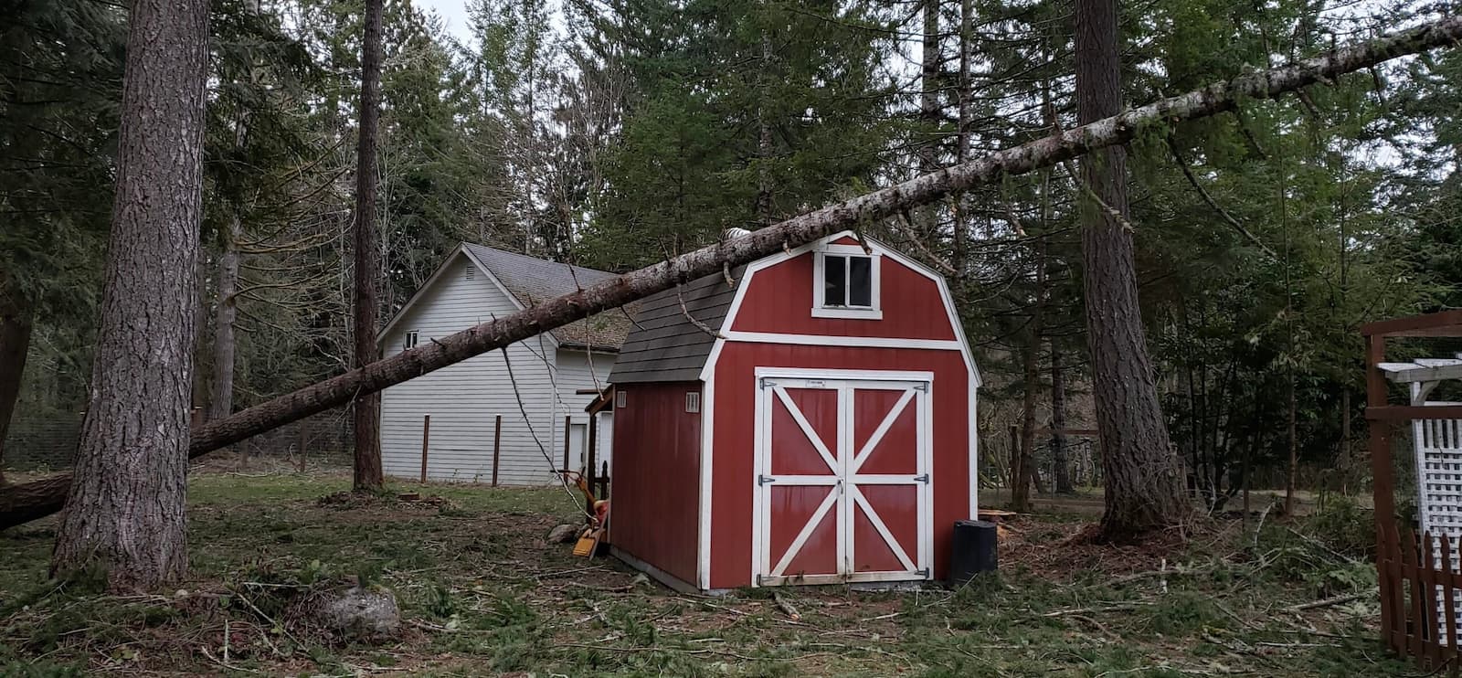 Red barn still standing after a tree fell on it