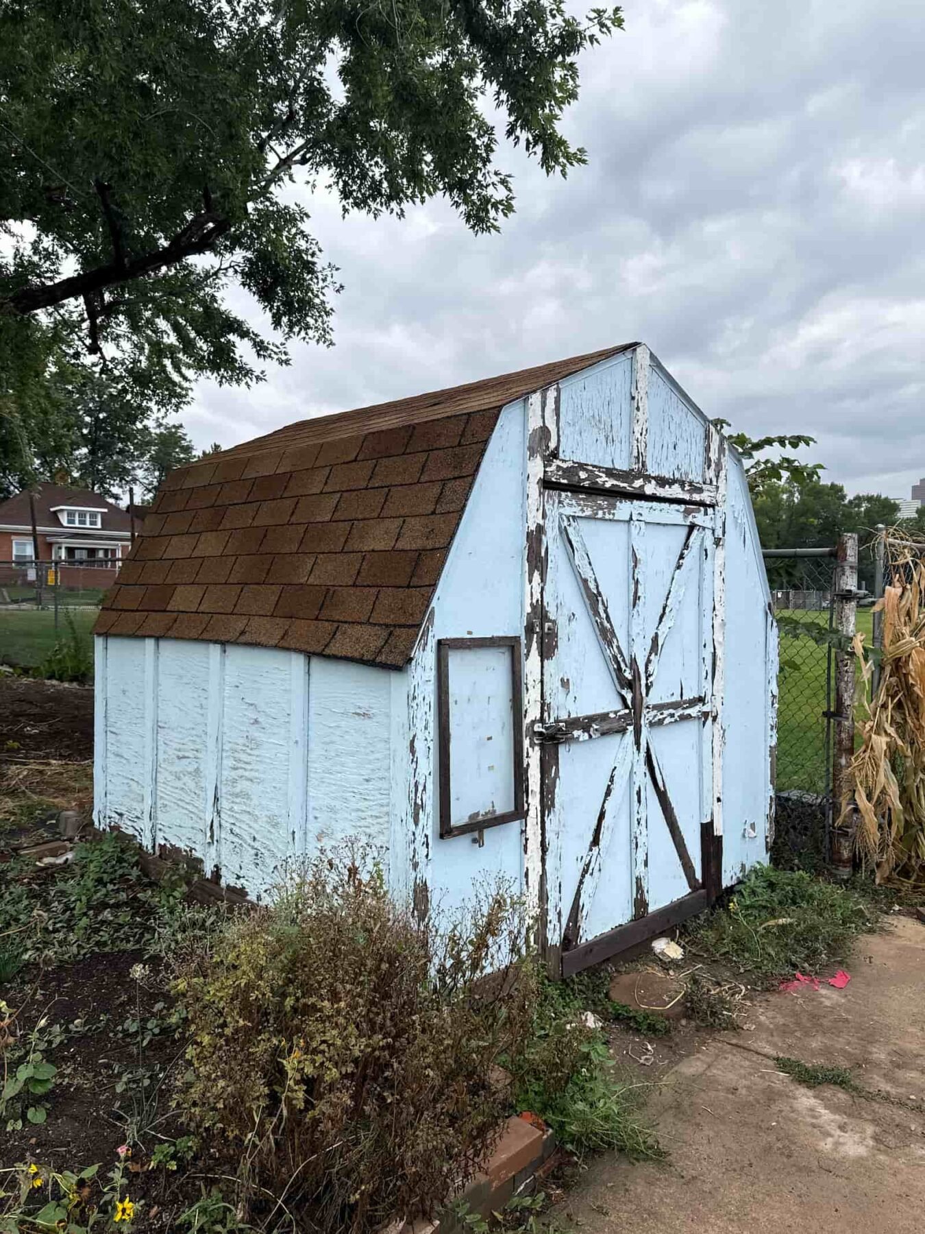 Whittier community garden shed before refresh